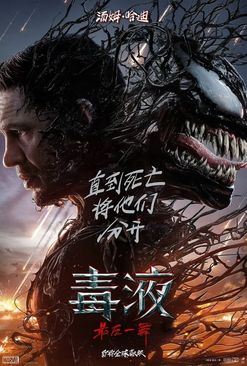 毒液：最后一舞 (2024) 漫威 毒液3 4K原盘REMUX 杜比视界 内封字幕 老K