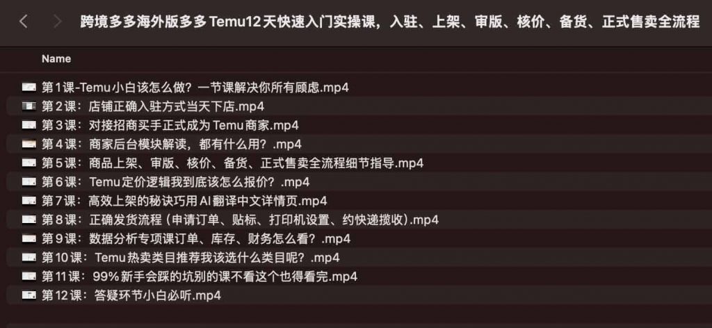 跨境多多海外版多多Temu12天快速入门实操课，入驻、上架、审版、核价、备货、正式售卖全流程