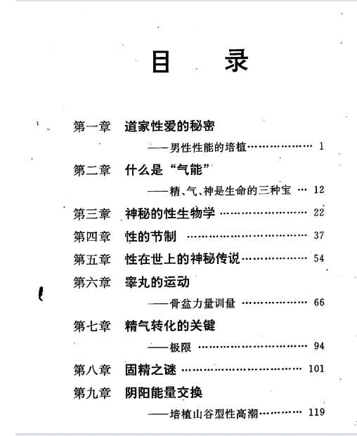 夫妻双修功 电子书