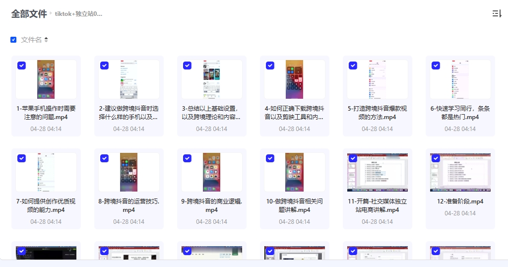 Tiktok+独立站0基础入门到精通 跨境电商独立站新手必学课
