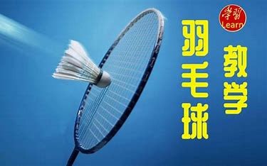 羽毛球教学课程大合集【共449 GB】