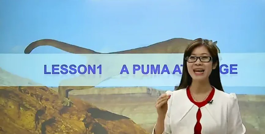 【斐然英语】新概念英语三册【60讲】