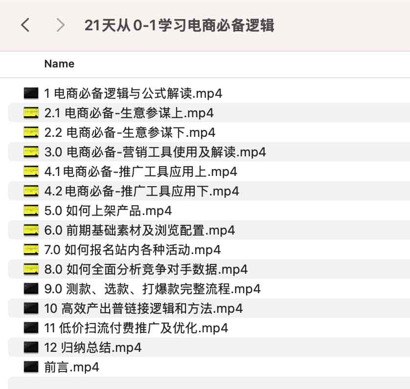 21天从0-1学习电商必备逻辑